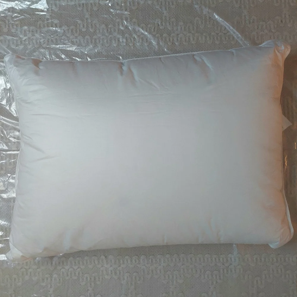 NWOT- Quince Standard White Duck Down Premium Pillow (Medium)(P27)